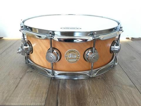 DW collector's x shell maple snaredrum snare zgan collector