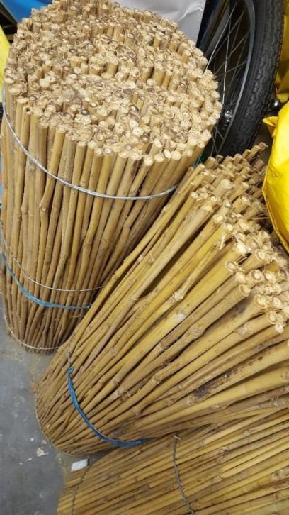 Bundel 400 bamboe bambu stokken €15