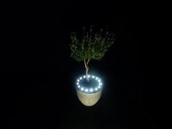 Bloempot verlichting Plant LED met stekker-trafo KOEL- WIT