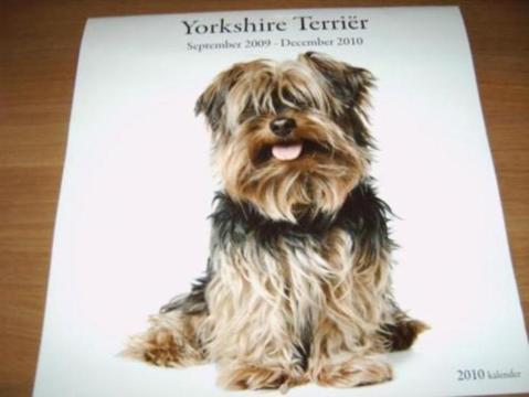 Yorkshire terrier kalender 2010 nieuw