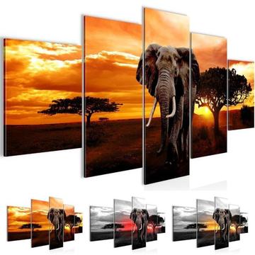 Nieuw canvas schilderij 5-luik Afrika Olifant 200 x 100 cm