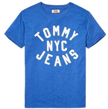 Tommy Hilfiger T-shirt Blauw Met Logo Print