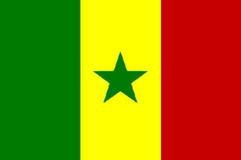 Senegal vlag 90 x 150 cm , afrikaanse vlaggen