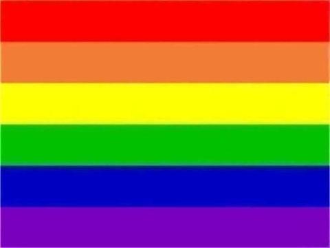 Regenboog vlag 60 x 90 cm , Pride vlaggen