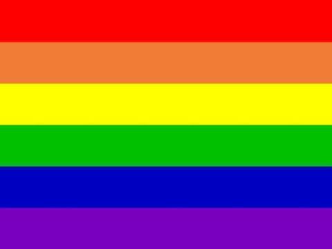 coming out regenboog vlag van klein tot groot va 20 cent