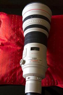 Canon 600mm, 500mm, 400mm, 300mm, 70-200mm, Zeiss 100mm MANY