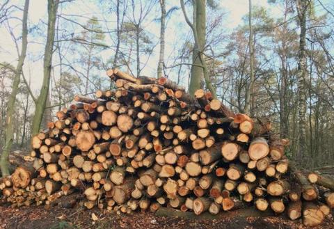 Brandhout, Haardhout stammen hout aan huis geleverd