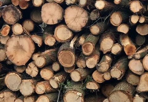 openhaardhout, brandhout, kaminholz, haardhout,eik beuk berk