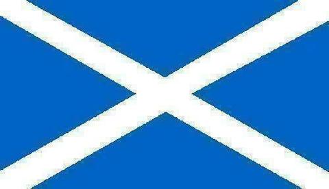 Vlag van Schotland 60 x 90 cm en alle vlaggen van Europa