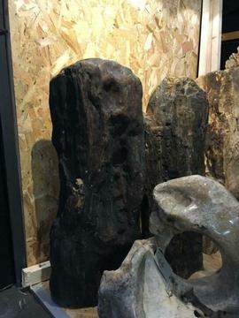 Ornamenten van versteend hout fossiel hout herdenkingsteen